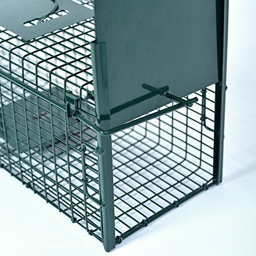 Lebendfalle 53 x 19 x 19 cm mit 2 Eingängen Drahtfalle / Rattenfalle mit Bissschutz & Trittbrett professionelle Tierfalle mit Rahmenverstärkung Türsicherung sofort einsatzbereit & pulverbeschichtet - 8