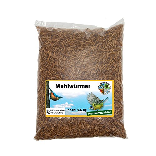 Mehlwürmer getrocknet im 500g Vorratsbeutel