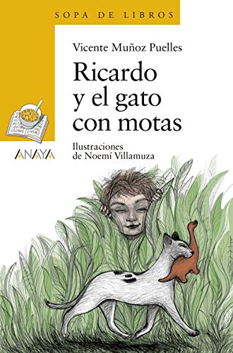 Ricardo y el gato con motas (LITERATURA INFANTILSopa de Libros)