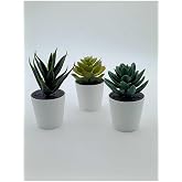IKEA Fejka Kakt&uuml;s 3'l&uuml; Set, 6 cm, Beyaz Saksılı Yapay Bitki