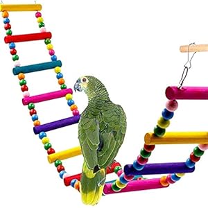 MINI CUTE Juguete de pájaros para parrote, Columpios, escaleras para el Entrenamiento de Mascotas