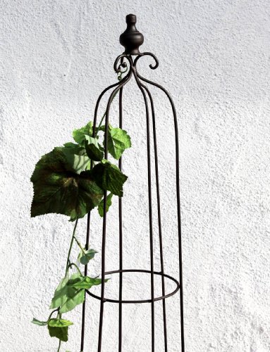 DanDiBo Rankhilfe 130486 XL Rankpyramide 154 cm Kletterhilfe Rankgitter Bodenstecker Zaun - 4