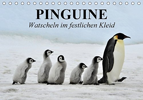Preisvergleich Produktbild Pinguine - Watscheln im festlichen Kleid (Tischkalender 2018 DIN A5 quer): Königspinguine in ihrem natürlichen Lebensraum (Monatskalender, 14 Seiten ) ... [Kalender] [Apr 01, 2017] Stanzer, Elisabeth