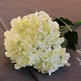 flores artificiales cerezo flores artificiales cabeza flores artificiales cementerio flores artificiales color rosa jarron blanco con flores artificiales decoracion flores artificiales florero con flores artificiales bouquet flores artificiales cortinas de flores artificiales peineta flores artificiales bolas de flores artificiales maceta flores artificiales jardineras con flores artificiales