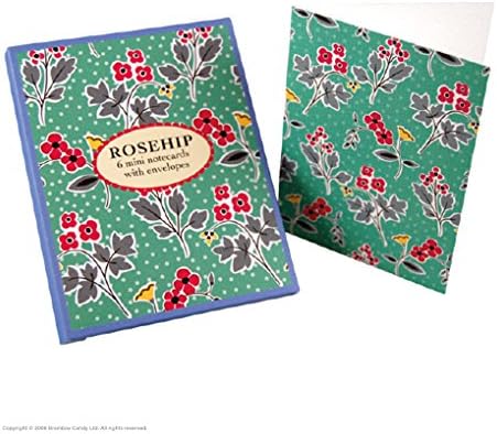 Pack Of 6 Beautifully Boxed Mini Floral Design Notecards With Envelopes - 1 Design - Blank Inside For Various Occasions