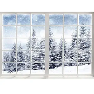 Allenjoy 7x5ft Winter Backdrop Forest Winter Window Backdrops for Photography Winter Backdrop for Pictures Christmas Winter Backdrops for New Year Party Decorations