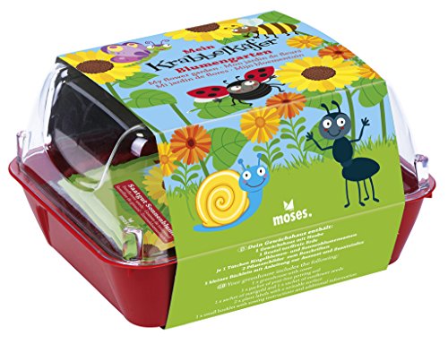 Preisvergleich Produktbild Moses. 16066 - Krabbelkäfer Gewächshaus Blumengarten, Mehrfarbig