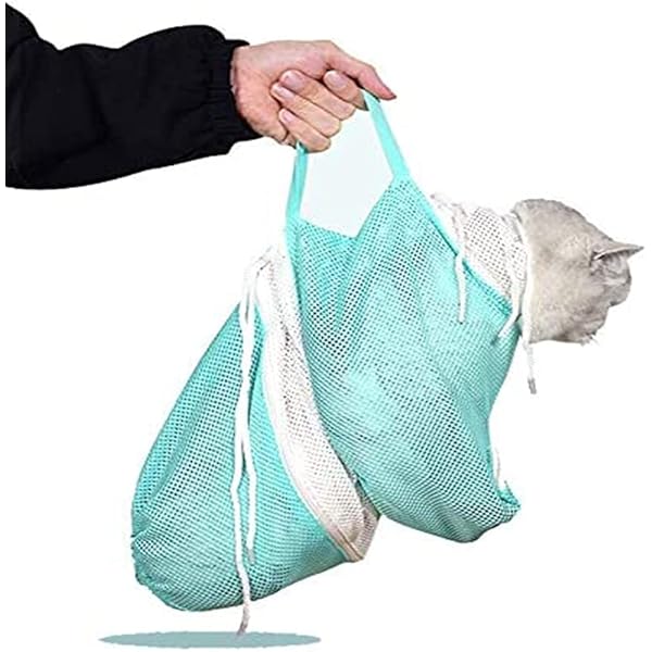 PetArmor® Plus Flea Tick Cat Shampoo Spring Freesia 12 Fl, 54 OFF