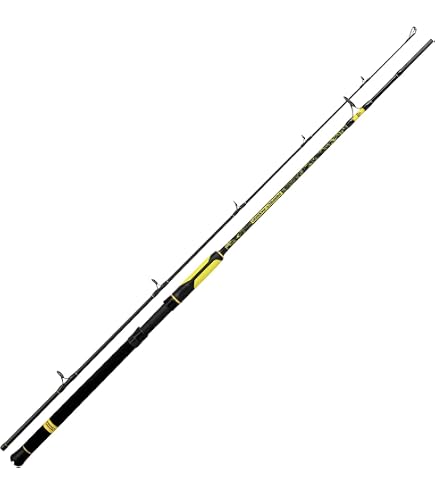 Canne à Pêche Black Cat 3,05 M 220 G - Pour Pêche Au Feeder Et Montages De Base - Anneaux Sea Guide
