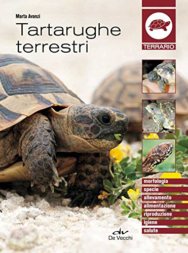 Download Tartarughe terrestri (Animali) Download Tartarughe terrestri (Animali)