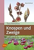 Image de Taschenatlas Knospen und Zweige: 270 Gehölze im Winter bestimmen (Taschenatlanten)