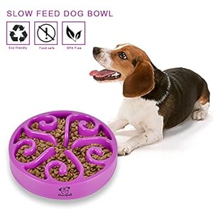 Decyam Comedero Perro Gato, Antideslizante Alimentacion Plato alimentador Tazon Comedero para Mascotas Bebedero Cuenco Bol Recipiente … (Purple)