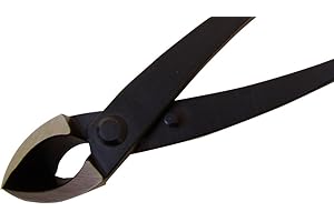 GENKI-BONSAI Bonsai Concave Tongs Professional Quality Polished Steel Black Bonsai Accessories (Bonsai Concave Tongs 20 cm Long Professional Quality Polished Steel with Black Finish Bonsai Accessories)