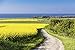 Produktbild Artland Poster oder Leinwand-Bild fertig aufgespannt auf Keilrahmen mit Motiv Rico Ködder Blick auf die Ostsee in der Nähe von Kühlungsborn Landschaften Felder Fotografie Blau C6XF