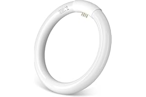 Aigostar - T9 Lampadina Fluorescente Attacco G10q, 22W 1200lm 21cm, Luce Bianca Fredda 6500K, Circolare, Vetro.