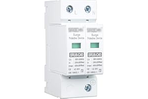 NIZIRIOO Protezione Sovratensione Pv Scaricatore Di Sovratensione Ac: Dehn Protezione Da Sovratensione 220 V Casa Protezione Da Sovratensione Scarico Fulmini 2p 40ka Scarico a Bassa Tensione Per Casa Scuole