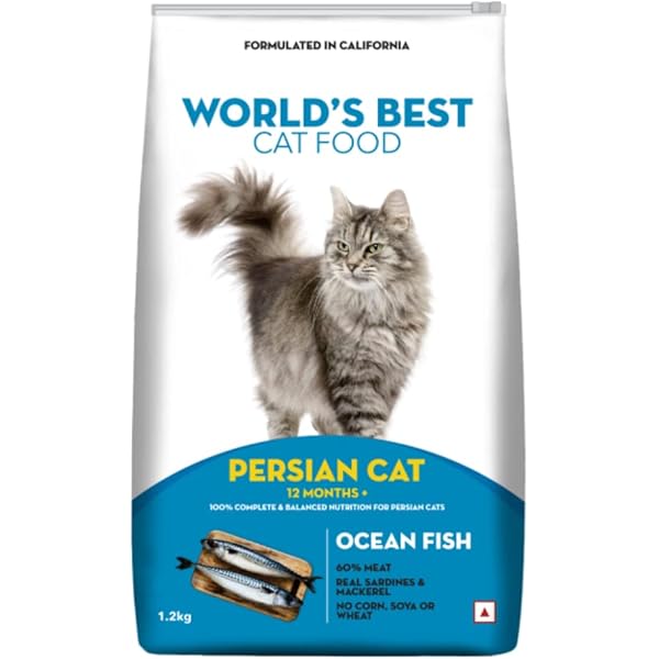 best cat food for cats