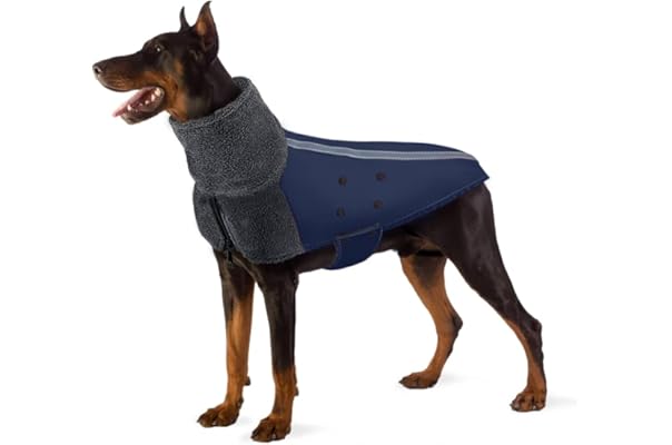 dog jackets amazon