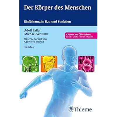 [PDF] Download Der Körper des Menschen: Einführung in Bau und Funktion Kostenlos