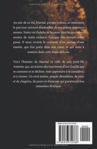 Couverture du livre de COMME UN PHARE DANS LA TOURMENTE