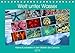 Produktbild Kleine Kunstwerke in den Weiten der Ozeane (Tischkalender 2019 DIN A5 quer): In den großen Ozeanen zeigt sich auch eine Welt voll lauter kleinen ... (Monatskalender, 14 Seiten ) (CALVENDO Tiere)
