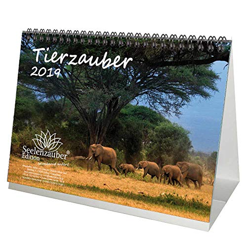 Download Tier magique – DIN A5 – Premium Calendrier de bureau/calendrier 2019 – Animaux – désert – Naturel – Coffret cadeau avec 1 carte de vœux et 1 carte de Noël – Édition âme magique Download Tier magique – DIN A5 – Premium Calendrier de bureau/calendrier 2019 – Animaux – désert – Naturel – Coffret cadeau avec 1 carte de vœux et 1 carte de Noël – Édition âme magique