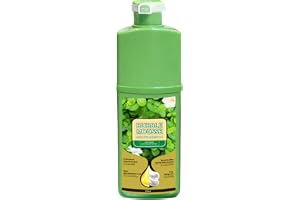 Bubble Mousse Hair Dye Shampoo 500 ml skum hårfärg, hållbar vegetabilisk hårfärg, snabbverkande hårfärg, med vegetabilisk formel för färgämnen