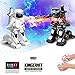 Price comparison product image Bibao 2PK Battle Boxing Robot, Educational Toys,Remote Control 2.4G Humanoid Fighting Robot, Two Control Joysticks (Black & White)
