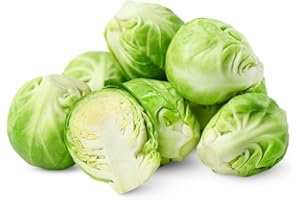 ACQUA TOWER GROWING SYSTEMS Brussels Sprouts Plants, 'Trafalgar', 12 x Large Plant Pack, Winter Vegetable Plants, Winter Sprouts, Garden Ready and Ready to Plant, Premium Quality Vegetables