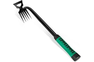 ZZLLKQ Unkraut Entferner Gerät Edelstahl, Unkrautjäter Verbesserte Gartenarbeit Hand Unkrautstecher, Fugenkratzer Mit Stiel Gartenwerkzeug Unkrautentferner (Grün)