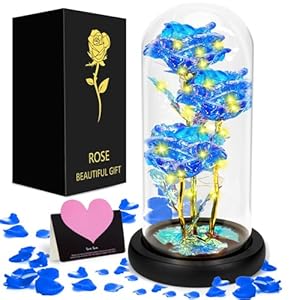 GUHAOOL Rosa Eterna, Cupula de