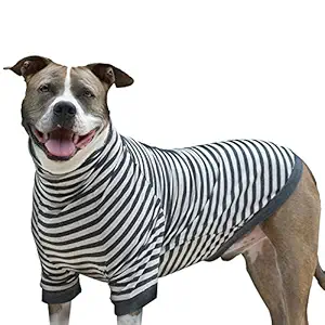 Tooth & Honey Big Dog Stripe Shirt Pullover Full Belly Coverage (Extra Large)