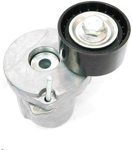 SKF VKM 38209 Kit De Galet Enrouleur Multi-V