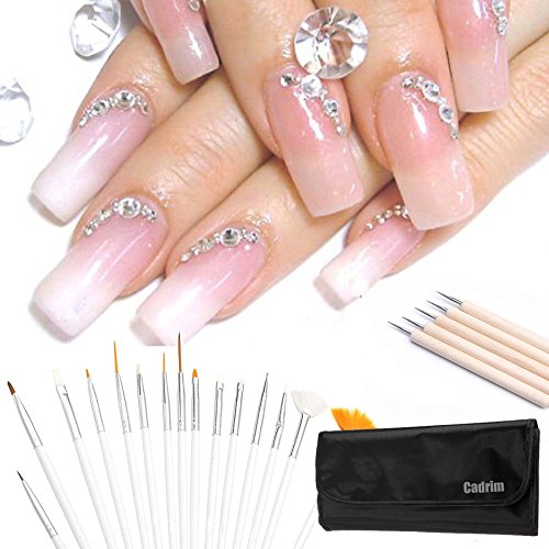 Cadrim 20 Stück Nail Art Pinsel + Punktierung Werkzeuge,Nail Art Design Malerei Zeichnung Pinsel-Punktierung Detaillierung Pen Werkzeug Set,Schönheits-Anstrich-Polnisch-Bürsten und Punktierung Stift-Werkzeug-Set für natürliche, Falsch, UV- und Gel-Nägel - 7