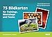 75 Bildkarten für Trainings, Workshops und Teams (Beltz Weiterbildung / Fachbuch) by 