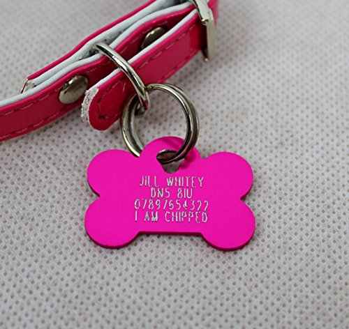 Lovely-Posh-Diamante-Bling-Jeweled-Studded-Chiwawa-Small-Dog-Puppy-Leather-Collar-Engraved-Double-Sided-Bone-Dog-Tag