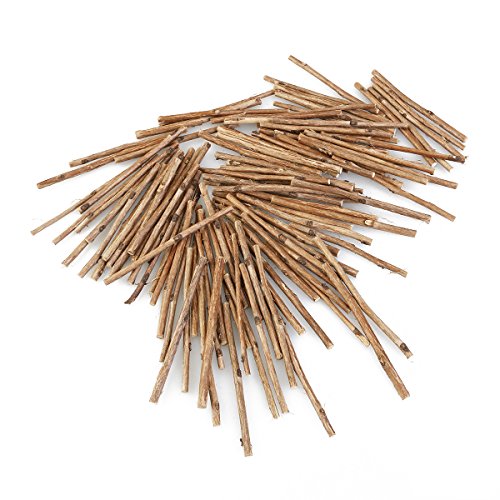 NUOLUX 100pcs Holzblock Sticks für DIY Handwerk 10CM langen 0,3-0,5 CM im Durchmesser (Holzfarbe) - 3