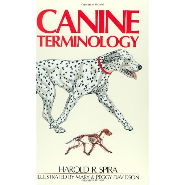 Buy The New Complete Dog Book: Official Breed Standards and