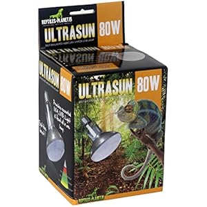 Reptiles Planet Beleuchtung Ultrasun 80W