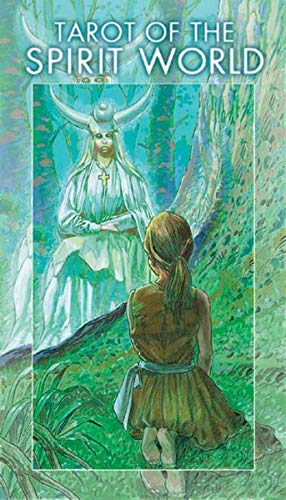 Tarot der Geisterwelten: 78 Tarotkarten
