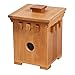 Produktbild Fridolin IQ Test Bamboo Safe 1 aus Bambus | Knacke den Safe