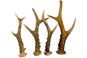 RF - Deer Legno naturale di Capriolo cervo, asta, gancio, maniglia per mobili, maniglia per posate, giocattolo per cani, decorazione in legno di cervo, offerta di 1 kg, 11-20 pezzi, 12-23 cm