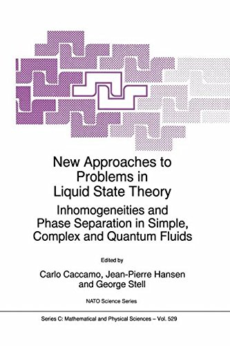New Approaches to Problems in Liquid State Theory: Inhomogeneities and Phase Separation in Simple, Complex and Quantum Fluids: 529 (Nato Science Series C:)