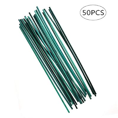 Kungfu Mall Lot de 50 bâtons de Support pour Plantes Vert 30,5 cm