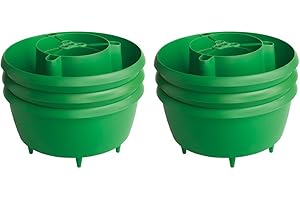 Two Wests & Elliott Plant Halos - Pack 6, Green