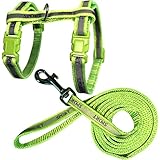 Reflektierendes Katzen-Geschirr