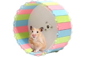 CAIYUANGJ Kleintierspielzeug Laufrad, Hamsterrad, Übungsrad für Hamster, Hamsterrad Kunststoff Leise, Hamsterrad Kunststoff, rutschfest, für Chinchilla, Igel, Rennmäuse und andere Kleintiere (15CM)