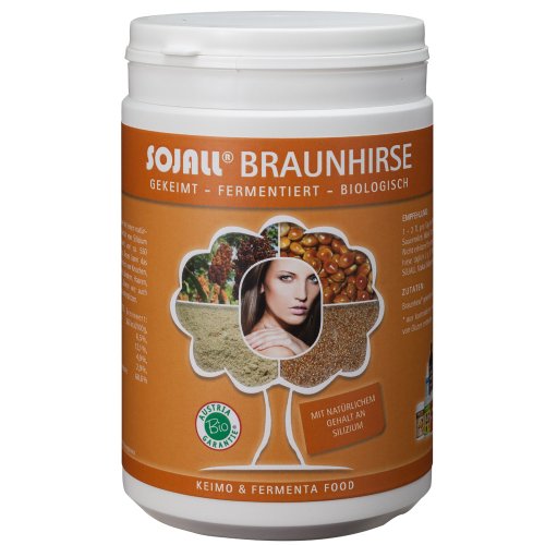 Preisvergleich Produktbild Sojall Braunhirse, BIO, 500 g