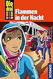Die drei !!!, 63, Flammen in der Nacht by