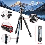 Manfrotto Befree Advanced Alu Reisestativ Twist (Drehverschluss) mit Kugelkopf,...
